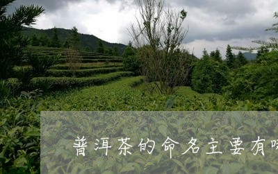 普洱茶的命名主要有哪三个阶段/2023110309425