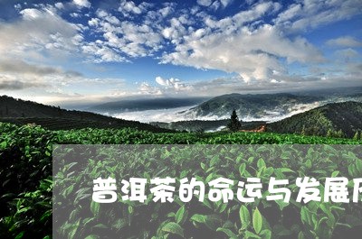 普洱茶的命运与发展历史/2023110108181