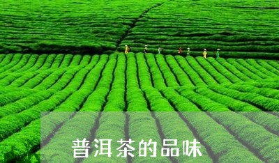 普洱茶的品味/2023042978155