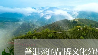 普洱茶的品牌文化分析/2023092528795