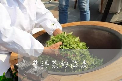 普洱茶的品质/2023042990821