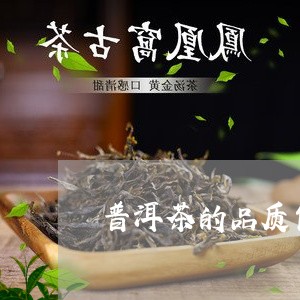 普洱茶的品质包括什么/2023120719494