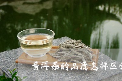 普洱茶的品质怎样区分/2023100802826