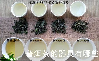 普洱茶的器具有哪些/2023120547259