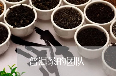 普洱茶的团队/2023042721641