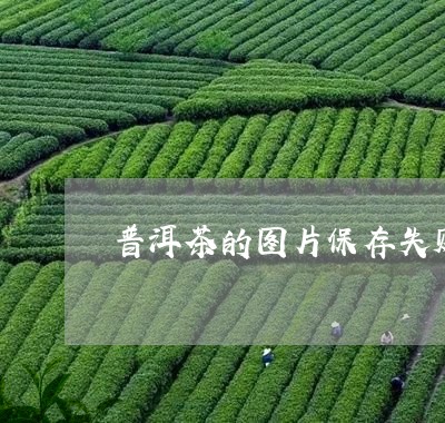 普洱茶的图片保存失败/2023100575825