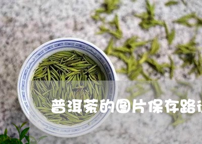 普洱茶的图片保存路径/2023100519582