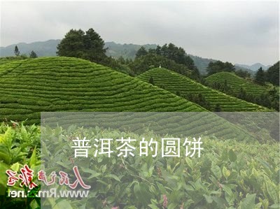 普洱茶的圆饼/2023042681158