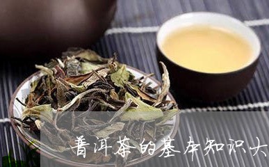 普洱茶的基本知识大全图片介绍/2023052924948