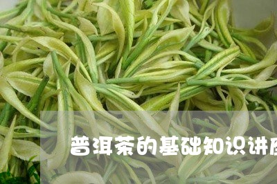 普洱茶的基础知识讲座内容/2023110711816