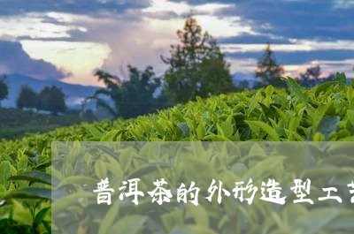 普洱茶的外形造型工艺/2023080195937