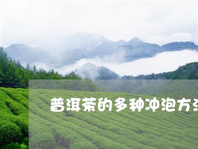 普洱茶的多种冲泡方法/2023100570483