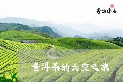 普洱茶的天空之旅/2023120471836