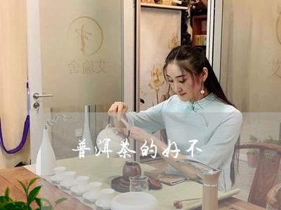 普洱茶的好不/2023042720674