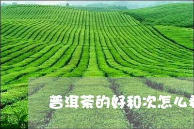 普洱茶的好和次怎么看/2023092632274