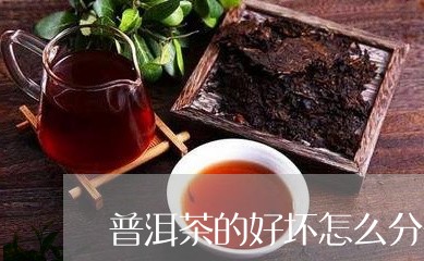 普洱茶的好坏怎么分辩图片/2023112526371