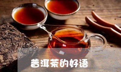 普洱茶的好语/2023042590983