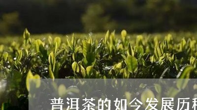 普洱茶的如今发展历程/2023112706269