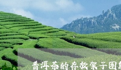 普洱茶的存放架子图解法/2023083081835