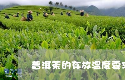 普洱茶的存放温度要求/2023062564947