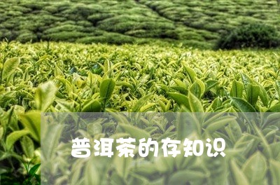 普洱茶的存知识/2023120494160