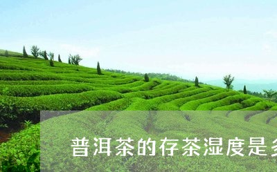 普洱茶的存茶湿度是多少/2023102434037