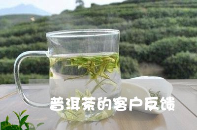 普洱茶的客户反馈/2023121783829