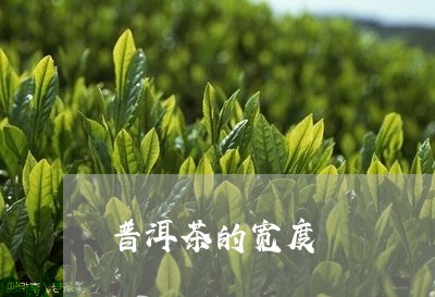 普洱茶的宽度/2023042615625