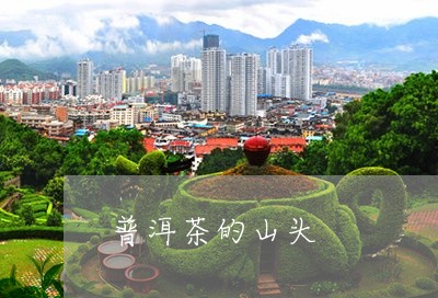 普洱茶的山头/2023042917572