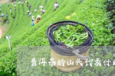 普洱茶的山头代表什么/2023080139480