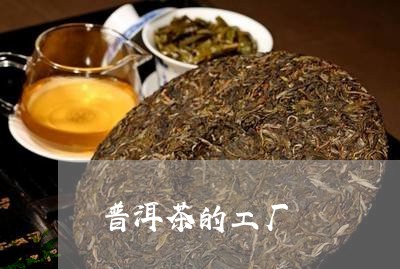 普洱茶的工厂/2023042739788