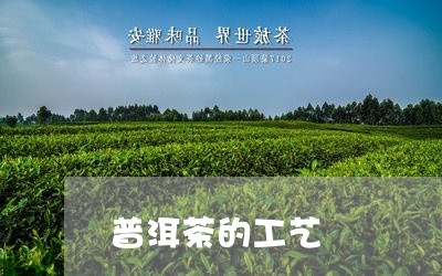 普洱茶的工艺/2023042918427