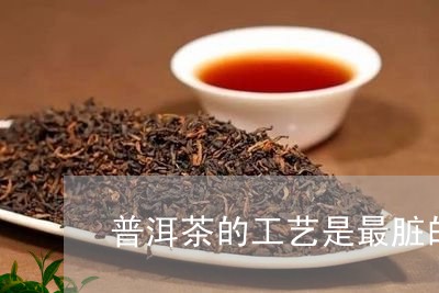 普洱茶的工艺是最脏的/2023112442715