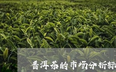 普洱茶的市场分析标准有哪些内容/2023082656247