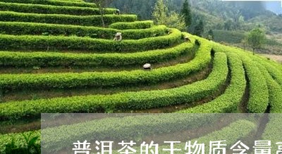 普洱茶的干物质含量高吗/2023050623926