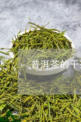 普洱茶的干茶特征有哪些/2023102497152