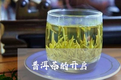 普洱茶的开启/2023042619302