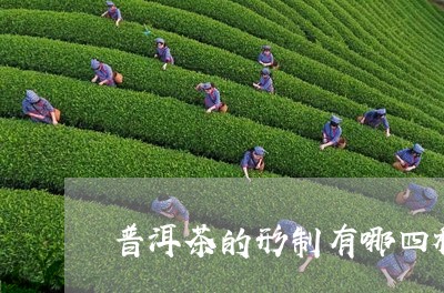 普洱茶的形制有哪四种类型/2023083096492