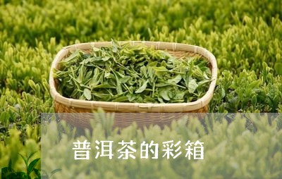 普洱茶的彩箱/2023042513925