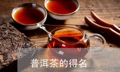 普洱茶的得名/2023042960241