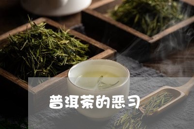 普洱茶的恶习/2023042626558