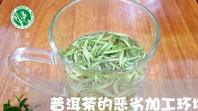 普洱茶的恶劣加工环境/2023120707261