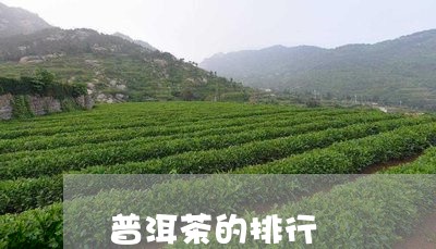 普洱茶的排行/2023042910782