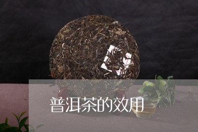 普洱茶的效用/2023042811841