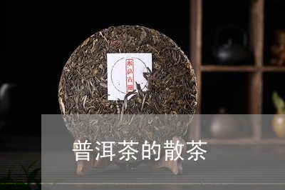 普洱茶的散茶/2023042999341