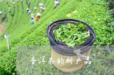 普洱茶的新产品/2023101626948