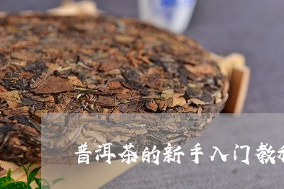 普洱茶的新手入门教程/2023062147361