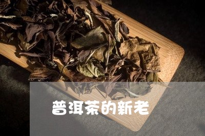 普洱茶的新老/2023042768027