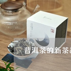 普洱茶的新茶品种介绍大全/2023112532805