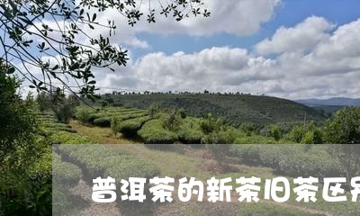 普洱茶的新茶旧茶区别图片/2023112565148